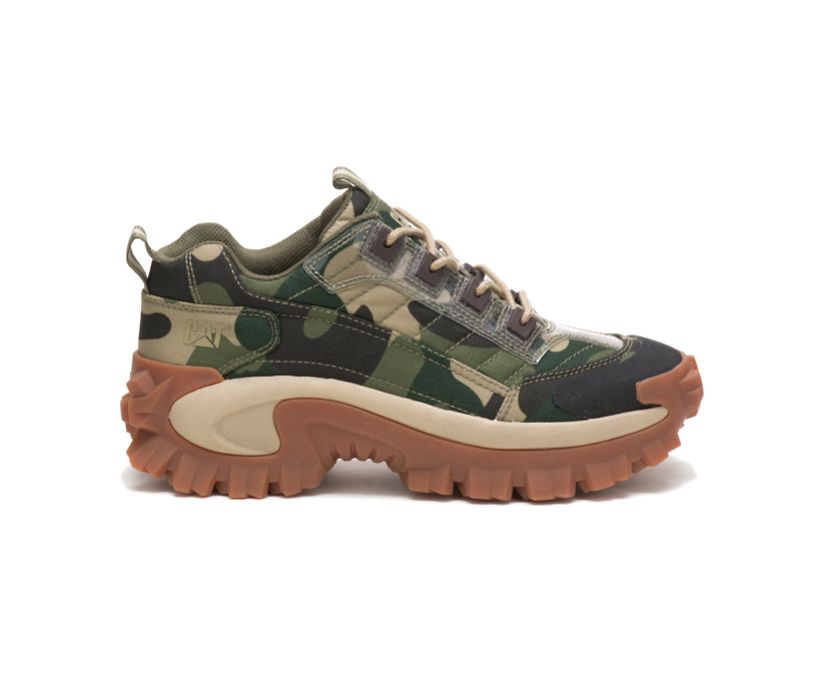 Caterpillar Intruder - Sneaker Damen Camouflage - Schweiz XKBJ-93467